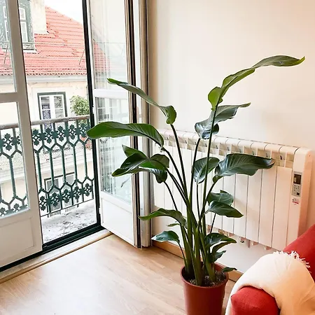 Lejlighed Stunning Luxury In Chiado 1br Lisboa