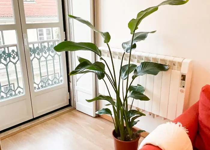 Stunning Luxury In Chiado 1br 아파트 *